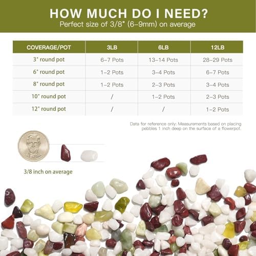 NUPICK 12 lbs Pebbles for Indoor Plants, 3/8 Inch Pea Gravel for Fish Tank - Image 6