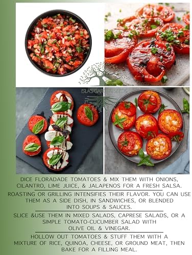 Floradade Tomato Seeds for Planting, 300+ Heirloom Seeds Per Packet, (Isla's Garden Seeds), Non GMO Seeds, Botanical Name: Solanum lycopersicum, Great Home Garden Gift - Image 6