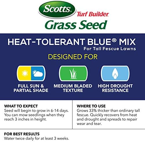 Scotts Turf Builder Grass Seed Heat-Tolerant Blue Mix for Tall Fescue Lawns for Heat, Drought & Disease Resistance, 20 lbs. - Image 2