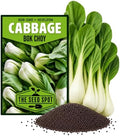 Chinese Cabbage Seeds for Planting - Heirloom Non-GMO by Unknown