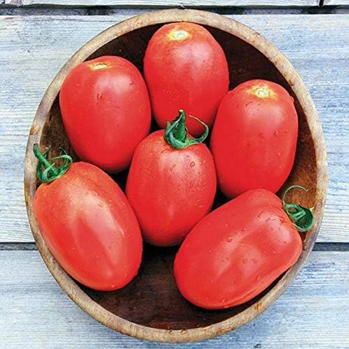 Bulk (1000) Tomato Seeds - Several Varieties Plant them or re-sell them!(1000 - Homestead Tomato Seeds) - Image 4