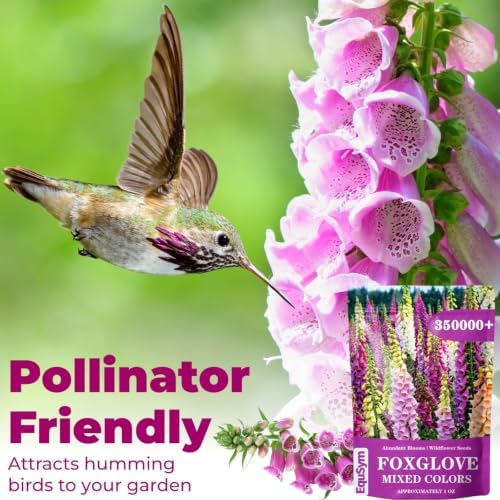 350,000+ Common Foxglove Seeds for Planting, Digitalis purpurea Seeds - Image 7