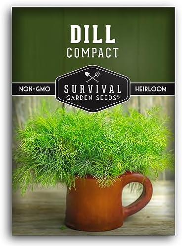 Compact Dill Seeds for Planting – Dwarf Herb Variety (1 Pack) by SurvivalGardenSeeds