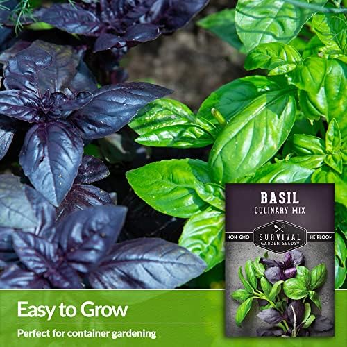 Basil Seeds Mix for Planting - Survival Garden Seeds (3 Pack) - Image 4