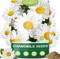 2300+ German Chamomile Seed Pack, Perennial Seeds for Planting, Herb Seed to Plant, Easy to Grow, High Germination, for Home Garden Indoor Outdoor by Fruivity