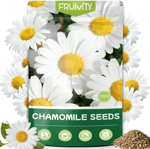 2300+ German Chamomile Seed Pack, Perennial Seeds for Planting, Herb Seed to Plant, Easy to Grow, High Germination, for Home Garden Indoor Outdoor by Fruivity