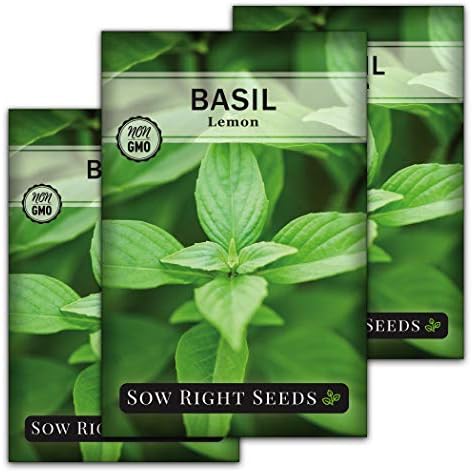 Sow Right Seeds - Lemon Basil Seed for Planting Indoor Outdoor by SowRightSeeds