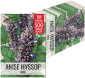 Seed Needs Anise Hyssop Seeds to Plant an Herb Garden - 10 Packs by SeedNeeds