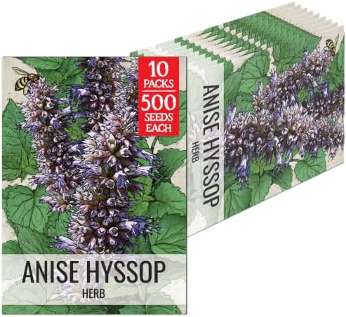 Seed Needs Anise Hyssop Seeds to Plant an Herb Garden - 10 Packs by SeedNeeds