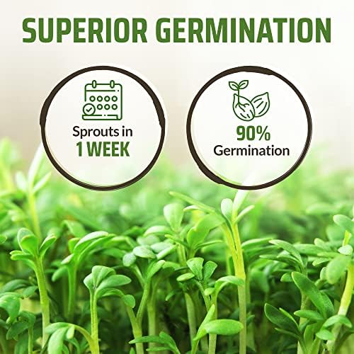 Rooted Acre 8 Varieties Hot Peppers – 240 Heirloom Seeds, High Germination – Includes Ghost Jalapeño, Serrano, California Wonder & More – Spicy Pepper Garden Mix - Image 5