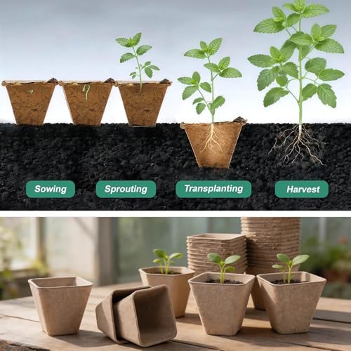 3.15 Inch Peat Pots 60 Pack, Square Seed Starting Pots with Plant Labels - Image 3