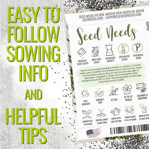 Seed Needs Thyme Seeds to Plant Non-GMO & Heirloom Thymus Herbs XL Pack - Image 4