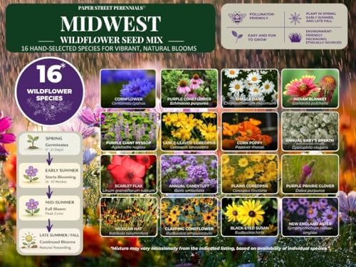 Minnesota Bulk Perennial and Annual Wildflower Seed Mix 1lb Covers 2,000sq-ft - Attract Pollinators, Multi-Color Blooms - Midwest US Species Plant in Spring/Fall - Earth-Friendly Packaging (1 Pound) - Image 3