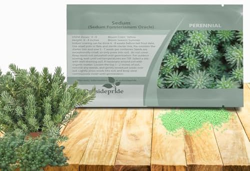 Outsidepride Oracle Sedum Seeds - 100 Pcs Perennial Ground Cover Seeds for Planting, Cold-Hardy & Heat-Tolerant Succulent Plants, Ideal for Rock Gardens, Containers, and Xeriscaping by Outsidepride