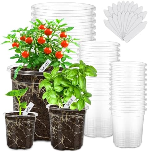 30 Pack 6.5/5/4 In Clear Nursery Plant Pots with Drainage Holes, 20 Labels by WandaQueen