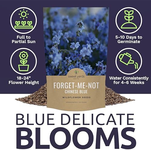 Chinese Forget Me Not Wildflower Seeds - Bulk 1/4 Pound Bag - Over 22,000 Open Pollinated Seeds - Blue Cynoglossum amabile - Image 6