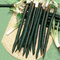 Seeds Oyster Plant Black Root - Salsify Scorzonera - Heirloom Vegetable - GMO Free by Unknown
