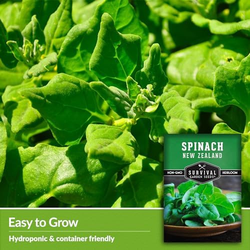 New Zealand Spinach Seeds for Planting - 2 Packs - Image 4