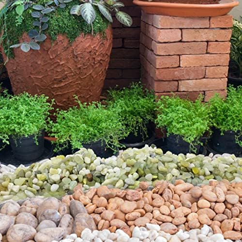 YISZM 10LB Succulent and Cactus Jade Pebbles, 3/8 Inch Polished Stones - Image 5