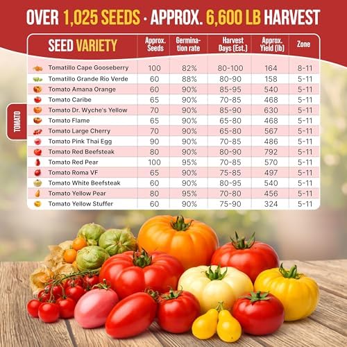 Organo Republic 14 Rare Tomato & Tomatillo Garden Seeds Variety Pack - 1,020+ Non-GMO Heirloom Tomato & Tomatillo Seeds for Outdoors & Indoor Home Gardening - Image 4