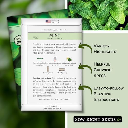 Sow Right Seeds - Mint Seed for Planting Outdoor Indoor Perennial Herb 3pk - Image 2