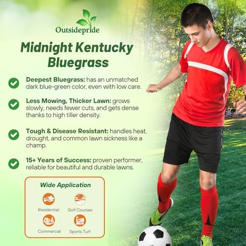 Outsidepride Midnight Kentucky Bluegrass Seed - 50 Lbs. Cold & Drought Tolerant, Sun-Loving Lawn Grass Seed, w/High Traffic Tolerance & Deep Root System, OptiGrowth Coated for Better Establishment - Image 3