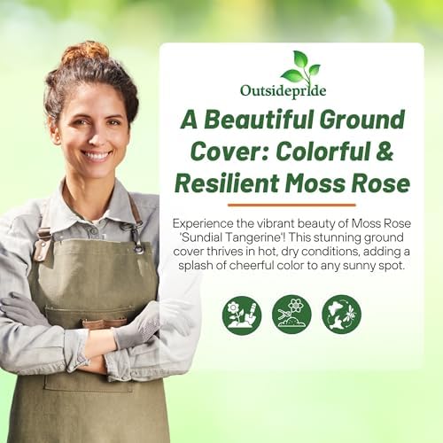 Outsidepride Tangerine Moss Rose Seeds - 500 Pcs Annual, Drought & Heat Tolerant, Pollinator Friendly Ground Cover Seeds for Planting w/Vibrant Blooms & Succulent Foliage, Ideal for Xeriscaping - Image 5