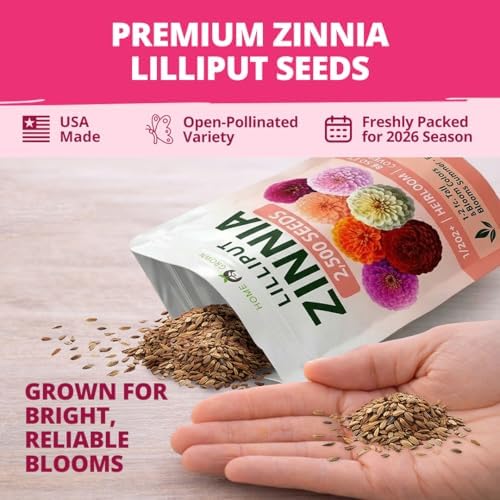 HOME GROWN Zinnia Seeds, Lilliput Mix, 2,500 Seeds, Zinnia elegans - Image 5