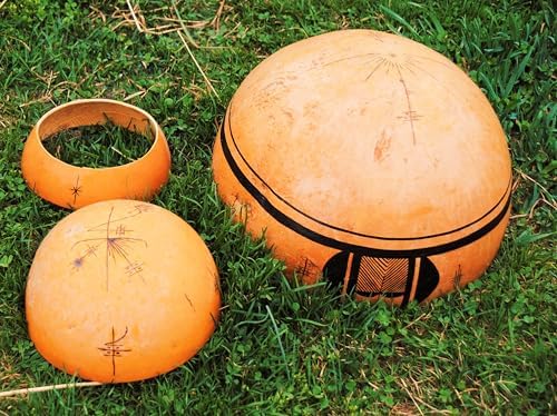 Bushel Gourd Seeds - 20+ Count - for 2026 Planting Hard-Shelled Ornamental Gourds Lagenaria Siceria Basketball Basket Bowl Carving African Squash Grow Your Own Home Farm Patio Healthy - Image 6