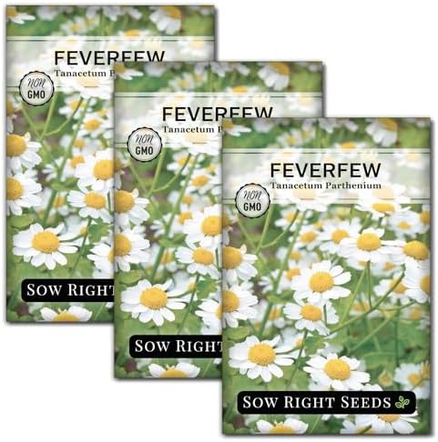 Sow Right Seeds - Feverfew Seed for Planting Perennial Medicinal Herb 3pk by SowRightSeeds