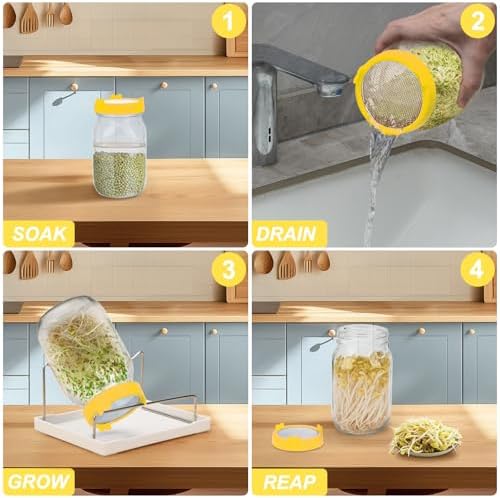 Lulonpon Sprouting Kit, 2 Sprouting Jar Kits, Wide Mouth Quart Mason Jars with Stainless Steel Screen Sprout Lids,1000ml Sprouts Growing Kit, Seed Sprouter Set for Growing Broccoli, Bean, Alfalfa - Image 2