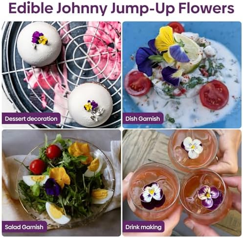 Johnny Jump Up Seeds,10000+ Perennial Wild Violet Seeds for Planting - Image 7
