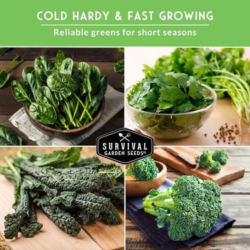 Cool Weather Garden Seeds Collection - Survival Garden Seeds - Image 4