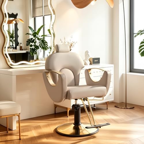 KIGOTY Salon Chair for Hair Stylist, 360° Swivel Reclining Barber Chair for Barbershop, Height Adjustable Hair Chairs, Hairdresser Braiding Styling Chairs, Beauty Spa Equipment (Grey) by KIGOTY
