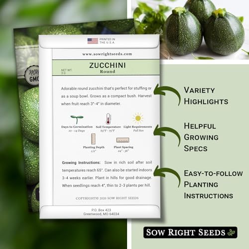 Sow Right Seeds - Round Zucchini Seed for Planting Summer Squash Garden - Image 2