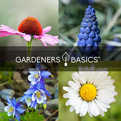 Gardeners Basics Perennial Flower Seeds for Planting Outdoors, 5 Varieties - Image 5