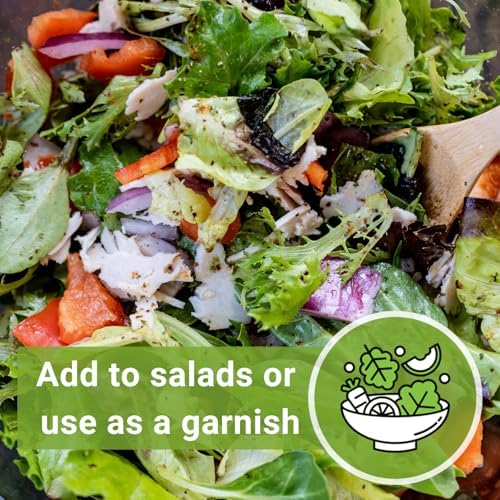 Sow Right Seeds - Upland Cress Seed for Planting Indoor Kitchen Garden - Image 6
