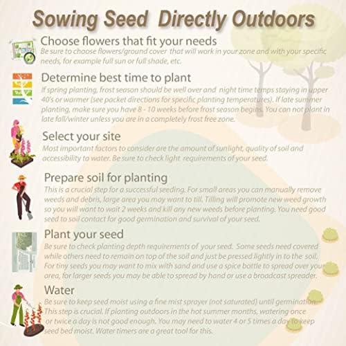 Outsidepride Perennial Dichondra Repens Seeds - 5 lbs Dense Green, Low-Maintenance Ground Cover Seeds for Planting, Ideal Lawn Alternative in Sun or Shady Areas & Erosion Control in USDA Zones 8-11 - Image 6