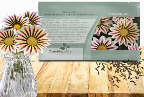 Outsidepride White Flame Gazania Seeds for Planting – 25 Pcs Perennial, Low-Maintenance, Drought-Tolerant Ground Cover Seeds for Vibrant Summer & Fall Flowers, Great for Outdoor Gardens by Outsidepride