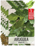 Seed Needs Arugula Seeds to Plant an Herb Garden - 5 Packs by SeedNeeds