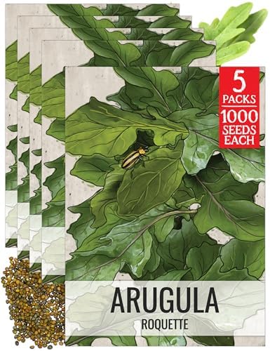 Seed Needs Arugula Seeds to Plant an Herb Garden - 5 Packs by SeedNeeds