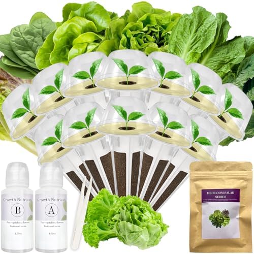 Salad Greens Seed Pod Kit for Hydroponic System– 12 Pods by apoloseedic