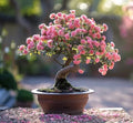 Woods Rose Bonsai Tree Seeds for Planting - 30 Seeds - Flowering Rose Bonsai by CZGrain