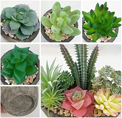 Succulents Plants Artificial Set of 5, Realistic Fake Succulents with Cement Like Pots for Home Office Decoration. - Image 6