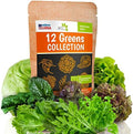 12 Lettuce and Greens Seed Pack - Heirloom and Non GMO, Grown in USA - Indoor or Outdoor Garden - Iceberg, Arugula, Kale, Spinach, Bibb, Butter, Green Oakleaf, Giant Collard, Red Romaine by MadayFormula
