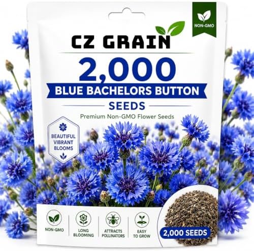 Garden Seeds for Planting, 2000 Blue Bachelor Button by CZGrain