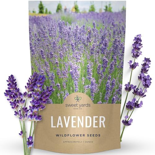 Lavender - Bulk 1 Ounce Pouch - 25,000 Flower Seeds for Planting - Lavandula angustifolia by SweetYards