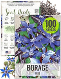 Seed Needs Borage Seeds to Plant an Herb Garden - 1 Pack by SeedNeeds