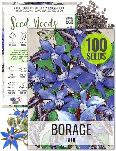 Seed Needs Borage Seeds to Plant an Herb Garden - 1 Pack by SeedNeeds