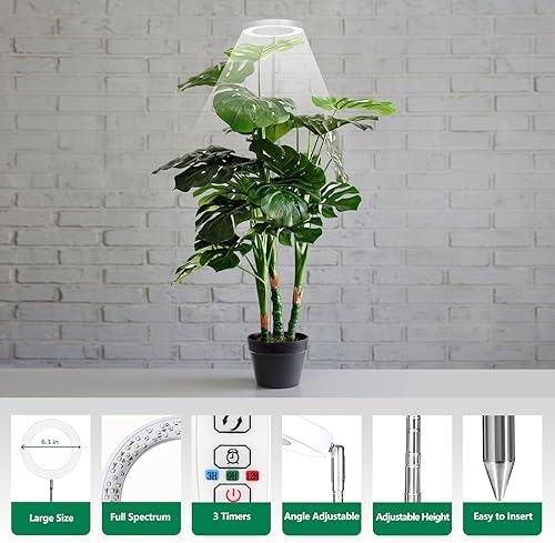WaterRebirth PGL06 Ring Plant Grow Light, 6.3 Inch 14W Full Spectrum Grow Lamp with Timer, 10 Brightness & 3 Modes, Adjustable Height 9.5‑59 Inch for Large Potted Indoor Plants - Image 5